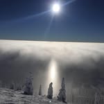 Joni Hughson - @jonihughson - Instagram