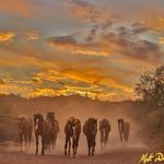 Joan Hurley - @jmah.66 - Instagram