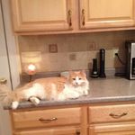 Joan Hurley - @joan.hurley.587 - Instagram