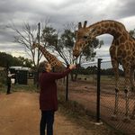 Joan Hurley - @hurley4359 - Instagram