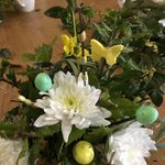 Joan Hurley - @happyjo53 - Instagram