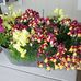 Joan Hyatt - Facebook