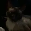 Joanna Inman - @joanna.inman4 - TikTok