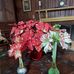 Joan Jacobsen - Facebook