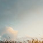 Joan Jacobsen - @joanjacobsen277882 - Instagram
