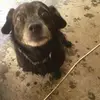joannejaeger3294 - @joannejaeger3294 - TikTok