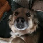 Joan Jamison - @monkey_kambo15 - Instagram