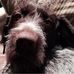 Joan Jamison - Facebook