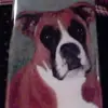 joannjamison650 - @joannjamison650 - TikTok
