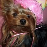 Joan Jarrett - @joan.jarrett.35 - Instagram