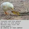Joan Jarrett - @joan.jarrett - TikTok