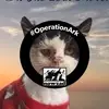 Joan Jolly - @joan.jolly - TikTok
