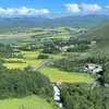 joanjolly03 - @joanjolly03 - TikTok