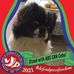 Joan Josephs - Facebook