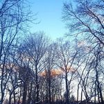Joan Karp - @unschool_central_pa - Instagram
