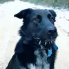 Joan Karp - @joan.karp - TikTok