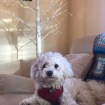 Joan Keating - @keating3472 - Instagram