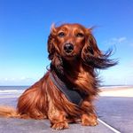 Joan Kemp - @joankemp1120 - Instagram