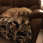 Joan Kemp - @kempje3804 - Instagram