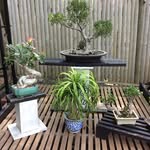 Joan Kilpatrick Donovan - @jkdoncon - Instagram