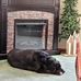 Joann Kirchner - Facebook