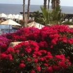 Joan Knecht - @joan.knecht.73 - Instagram