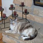 Joan Carpenter Knowlton - @carpenterknowlton - Instagram