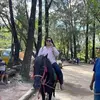 joanknowlton2 - @joanknowlton2 - TikTok