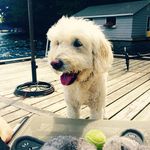 Joanne Knowlton - @joannek134 - Instagram