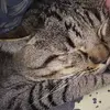 Joana Kohler - @joana.kohler2 - TikTok