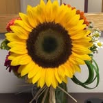 Joan Kranz - @jhgslrhsuaxouqqlrg - Instagram