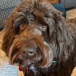 Joan Kraus Weber - @bjclweber2000 - Instagram