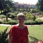 Joan Krauss - @joan_krauss - Instagram
