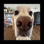 Joan Lally McShane - @cjmcshane05 - Instagram