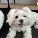 Joann Thomas - @joanlanier4 - Instagram