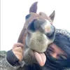 Joann Larosa65 - @user1810122857891 - TikTok