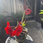 Joan Lathrop - Facebook