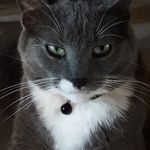 Joan Lathrop - @tazarina68 - Instagram