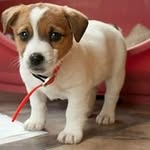 Joan McLaughlin - @joan.mclaughlin.5 - Instagram