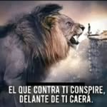 Joan Leal - @joanpro37 - Instagram