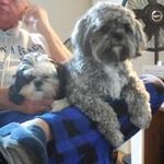 Joan Ledbetter - @ledbetterjoan - Instagram