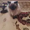 Joan Lehmann - @joanlehmann_4034 - TikTok