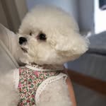 김조안 ( 🧸 kim joan ) - @joanlight.s2 - Instagram