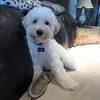 joanlight - @joanlight - TikTok