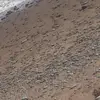 lilly.joan1 - @lilly.joan1 - TikTok