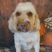 Joanne Little - Facebook