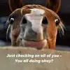 joanlockwood2410 - @joanlockwood2410 - TikTok