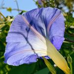 Joan Lockhart - @joan.lockhart.777 - Instagram