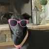 Joni & Lucy - @jm50105 - TikTok