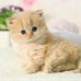 Joan Lundgren - Facebook